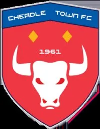 Change of ownership at Cheadle Town FC — Cheadle Town Football Club